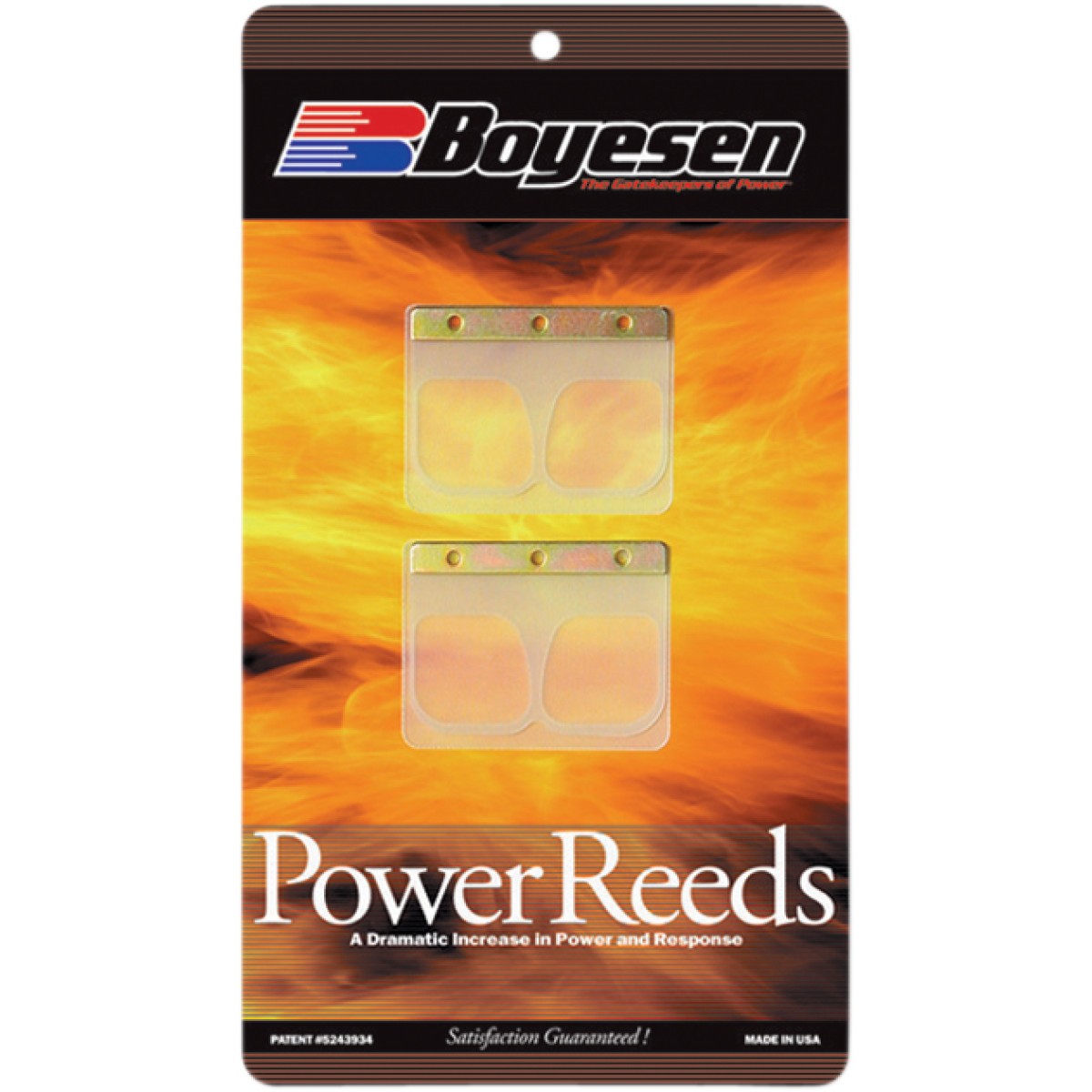 Náhradní klapky sání BOYESEN Cagiva 260 (všechny roky výroby)
