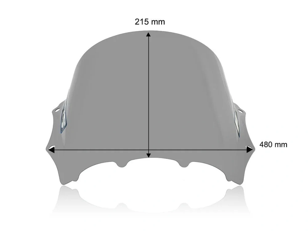 Plexi motocyklu WRS pro BMW M 1000 RR rok 2023-2024 barva kouřová verze RACE 