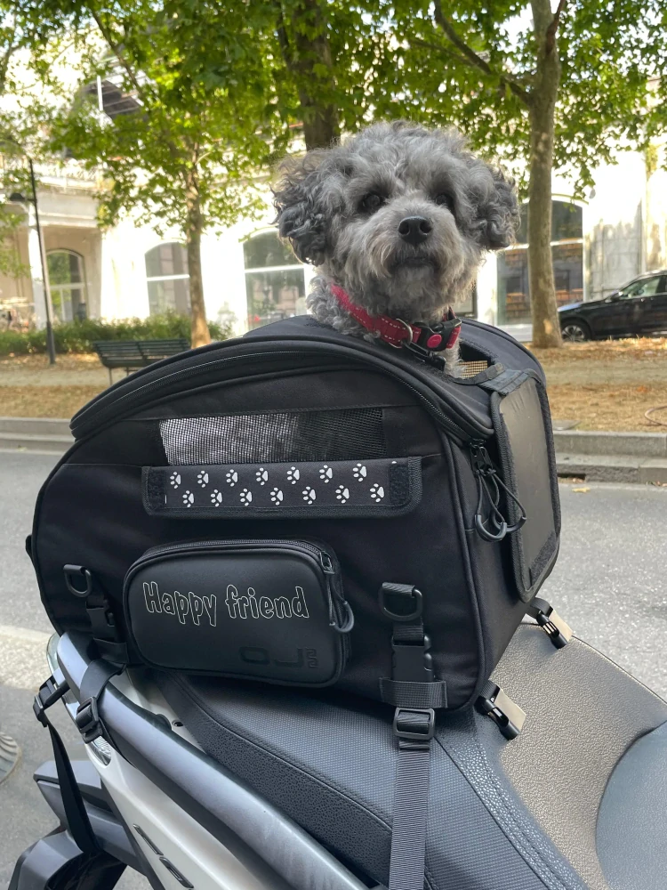 Textilní taška / motocyklová brašna pro zvířata OJ ATMOSFERE METROPOLITANE s.r SEAT PET BAG M290 barva černá, objem 30 litrů, pro domácí mazlíčky do 8 kg   