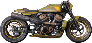 Kompletní výfuk KESSTECH pro Harley - Davidson RH 1250 S Sportster 21-22