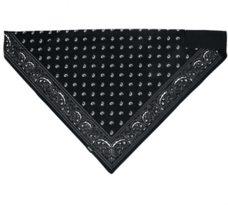 Šátek ZANHEADGEAR BANDANA SPORTFLEX Skull